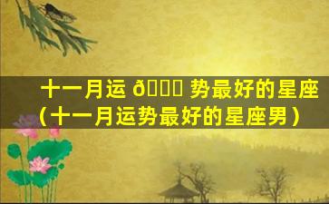 十一月运 🐅 势最好的星座（十一月运势最好的星座男）